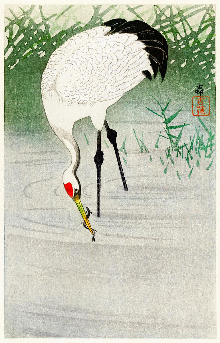 Fishing crane in shallow water (1900 - 1945)… | Free public domain illustration Fishing crane in shallow water (1900 - 1945) by Ohara Koson (1877-1945). Original from The Rijksmuseum. Digitally enhanced by…