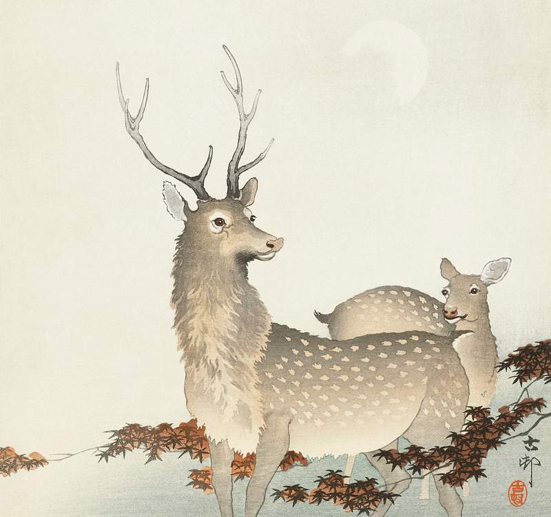 Couple of deers (1900 - 1930) by Ohara Koson (1877-1945). Original from The Rijksmuseum. Digitally enhanced by rawpixel.