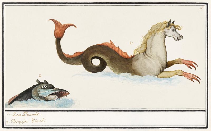 Fantasy fish in vintage style Hippocampus and fish, Fantasy animals (1596–1610) by Anselmus Boëtius de Boodt. Original from the Rijksmuseum.…