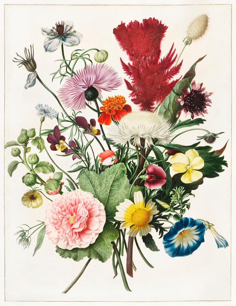 Bouquet of Flowers by an anonymous artist (1680). Original from The Rijksmuseum. Digitally enhanced by rawpixel. Bouquet of Flowers by an anonymous artist (1680). Original from The Rijksmuseum. Digitally enhanced by rawpixel.