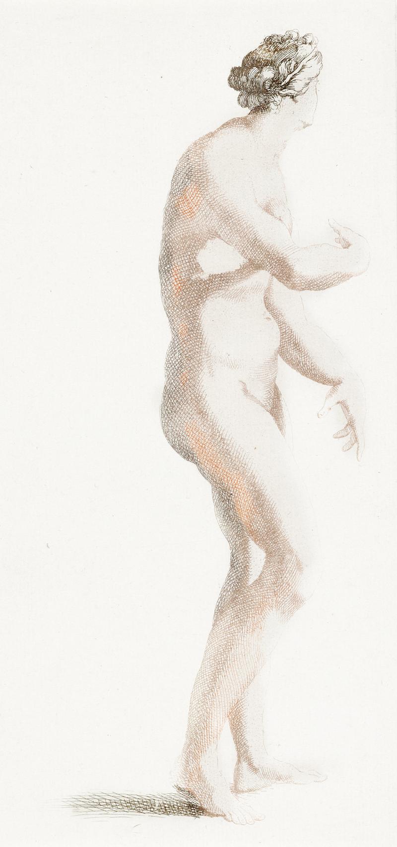 Statue of Venus de 'Medici (1688-1698) by Johan Teyler (1648-1709). Original from The Rijksmuseum. Digitally enhanced by rawpixel. Statue of Venus de 'Medici (1688-1698) by Johan Teyler (1648-1709). Original from The Rijksmuseum. Digitally enhanced by…
