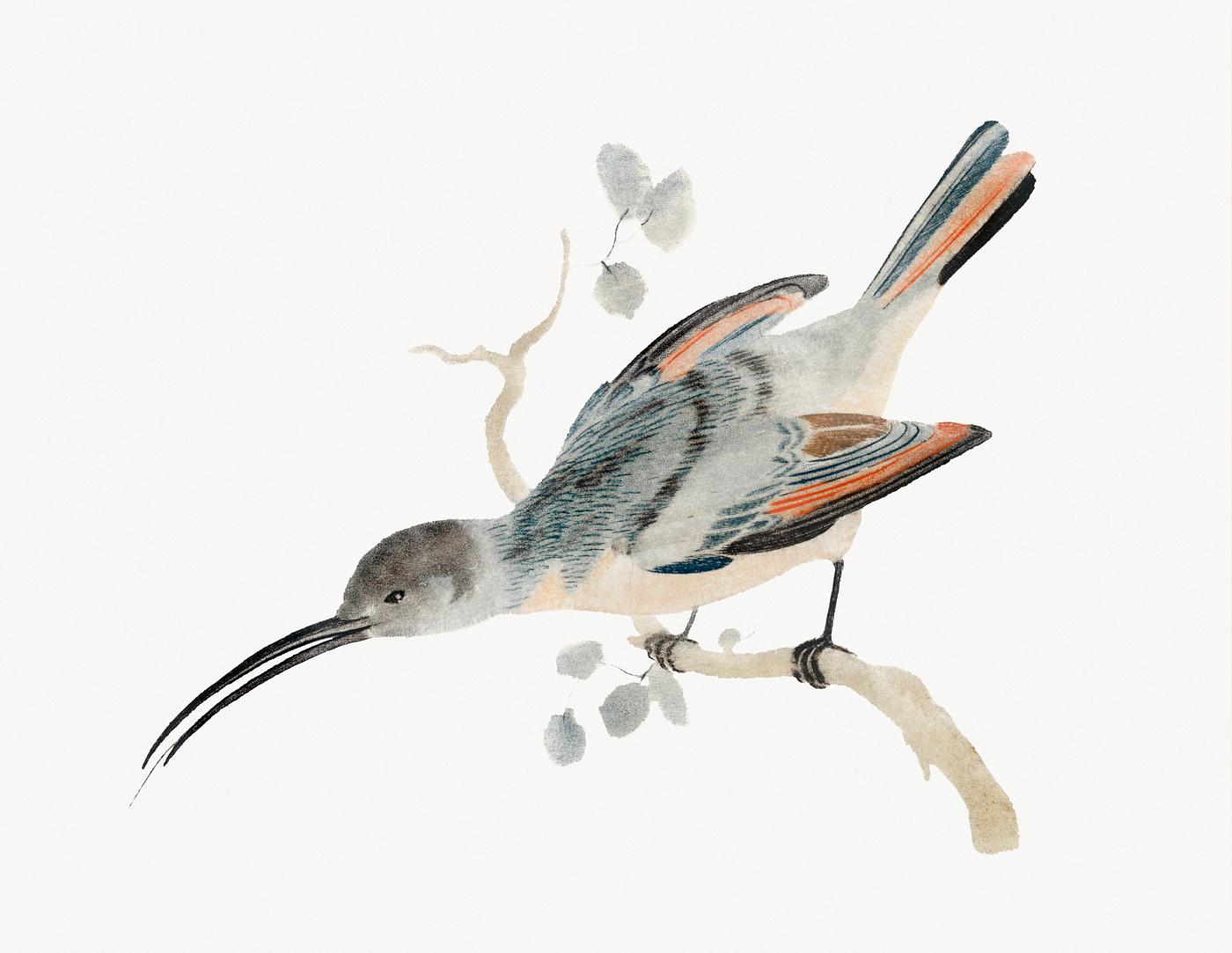 Hummingbird (1688-1698) by Johan Teyler (1648-1709). Original from Rijks Museum. Digitally enhanced by rawpixel. Hummingbird (1688-1698) by Johan Teyler (1648-1709). Original from Rijks Museum. Digitally enhanced by rawpixel.