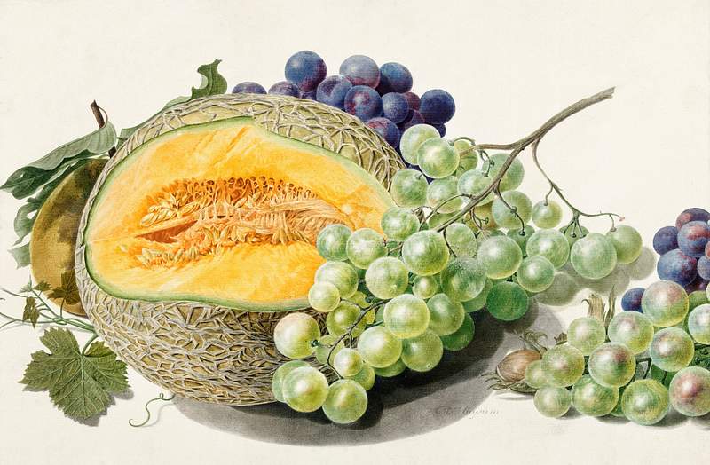 Fruits by Michiel van Huysum (1714-1760). Original from The Rijksmuseum. Digitally enhanced by rawpixel. Fruits by Michiel van Huysum (1714-1760). Original from The Rijksmuseum. Digitally enhanced by rawpixel.