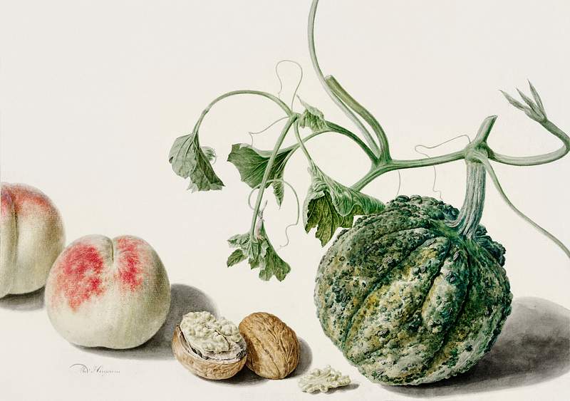 Free royalty image about Calabash and Fruits by Michiel van Huysum (1714-1760). Original from The Rijksmuseum. Digitally enhanced by rawpixel. Calabash and Fruits by Michiel van Huysum (1714-1760). Original from The Rijksmuseum. Digitally enhanced by rawpixel.