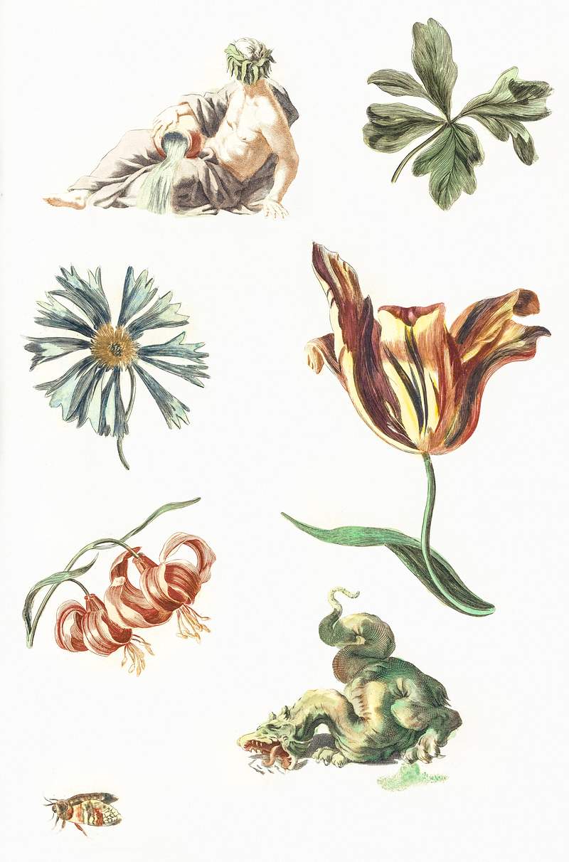 River god, a dragon and four flowers by Johan Teyler (1648-1709). Original from The Rijksmuseum. Digitally enhanced by…