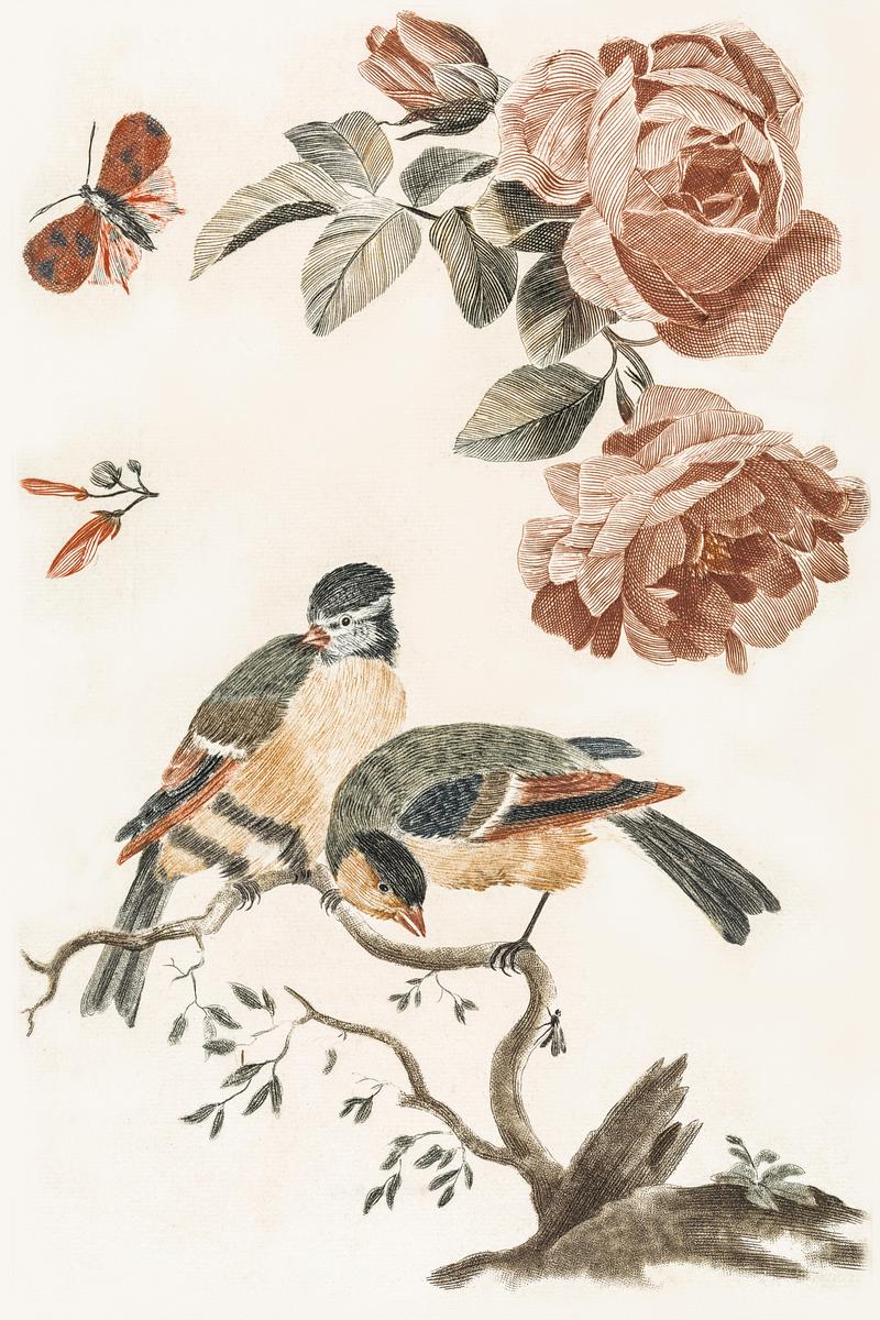 A Blue Tit and a Great Tit by Johan Teyler (1648-1709). Original from The Rijksmuseum. Digitally enhanced by rawpixel. A Blue Tit and a Great Tit by Johan Teyler (1648-1709). Original from The Rijksmuseum. Digitally enhanced by rawpixel.