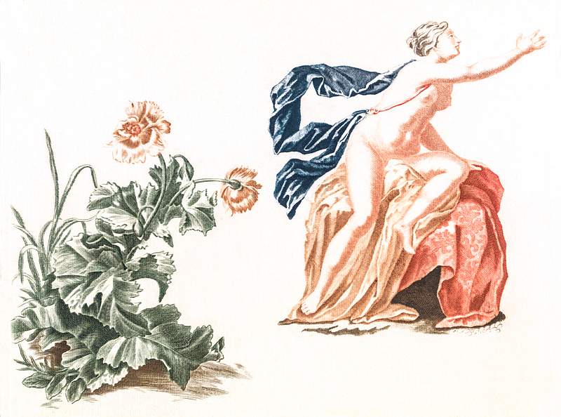 Poppies and a naked woman by Johan Teyler (1648-1709). Original from The Rijksmuseum. Digitally enhanced by rawpixel.