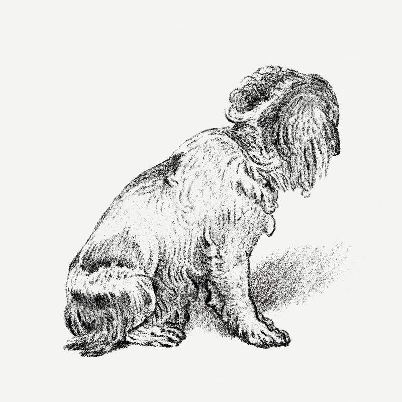 Sitting dog (1777) by Cornelis Ploos van Amstel. Original from The Rijksmuseum. Digitally enhanced by rawpixel.
