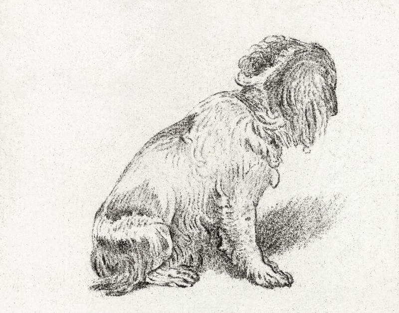 Sitting dog (1777) by Cornelis Ploos van Amstel. Original from The Rijksmuseum. Digitally enhanced by rawpixel.