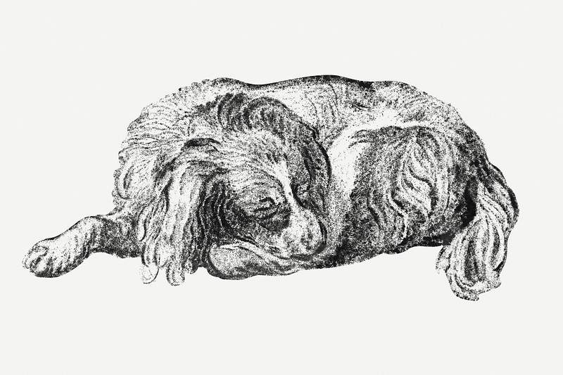 Lying dog (1777) by Cornelis Ploos van Amstel. Original from The Rijksmuseum. Digitally enhanced by rawpixel.