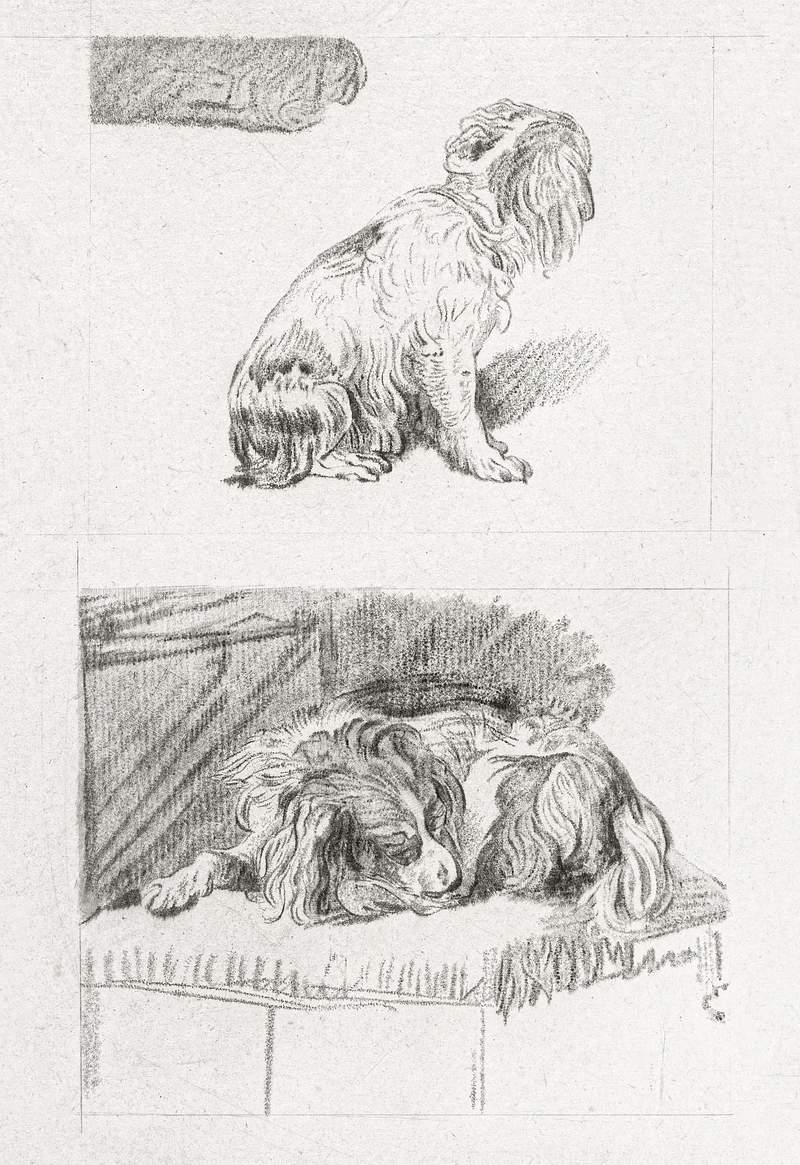 Sitting and lying dog (1777) by Cornelis Ploos van Amstel. Original from The Rijksmuseum. Digitally enhanced by rawpixel.
