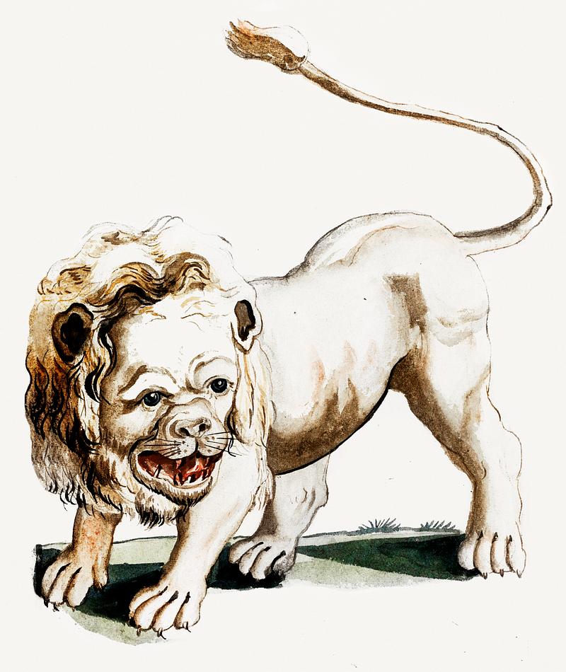A lion by Johan Teyler (1648-1709). Original from The Rijksmuseum. Digitally enhanced by rawpixel. A lion by Johan Teyler (1648-1709). Original from The Rijksmuseum. Digitally enhanced by rawpixel.