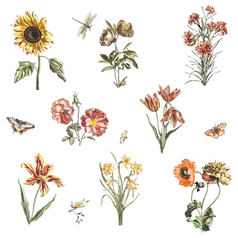Illustrated wild flowers | Free stock vector - 4285