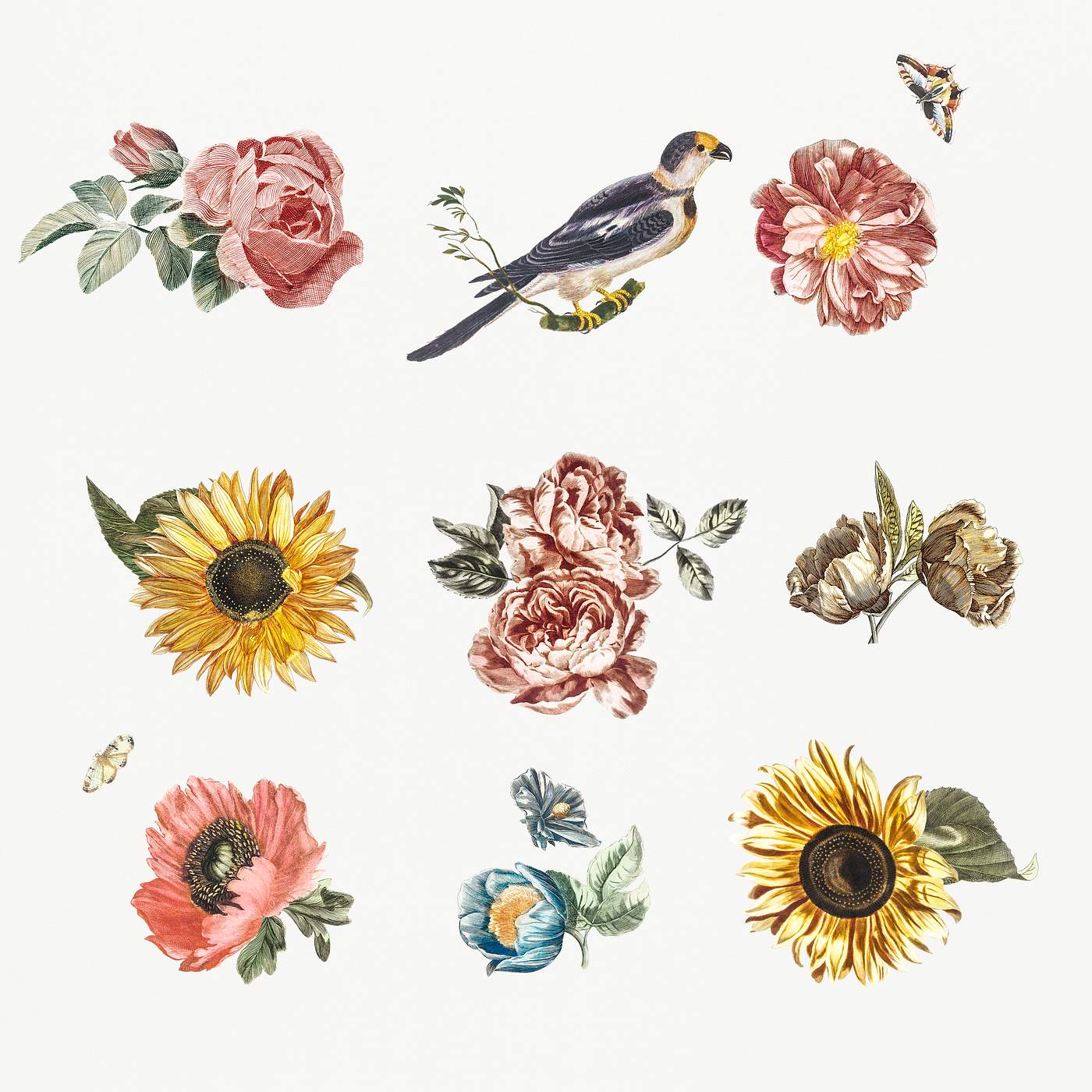 Various flowers and a bird by Johan Teyler (1648-1709). Original from Rijks Museum. Digitally enhanced by rawpixel. Various flowers and a bird by Johan Teyler (1648-1709). Original from Rijks Museum. Digitally enhanced by rawpixel.