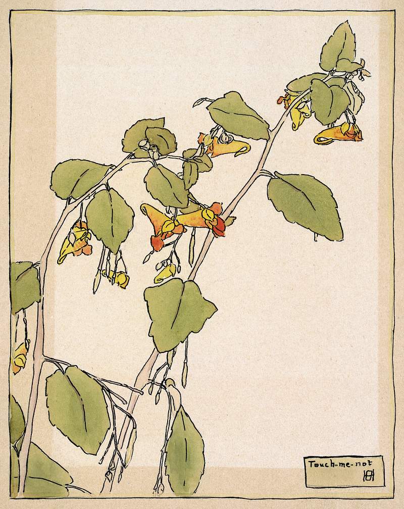 Touch Me Not (1915) by Hannah Borger Overbeck. Original from The Los Angeles County Museum of Art. Digitally enhanced by…