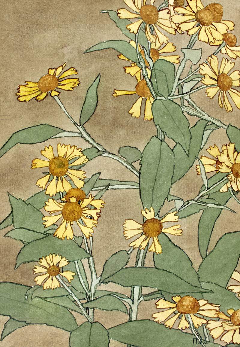 Daisies with Orange Center and Yellow Petals (1915) by Hannah Borger Overbeck. Original from The Los Angeles County Museum of…