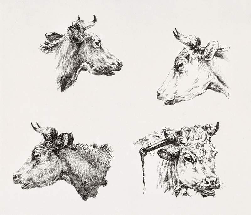 Four bull heads (1809 - 1833) by Jean Bernard (1785 - 1833). Original from The Rijksmuseum. Digitally enhanced by rawpixel.
