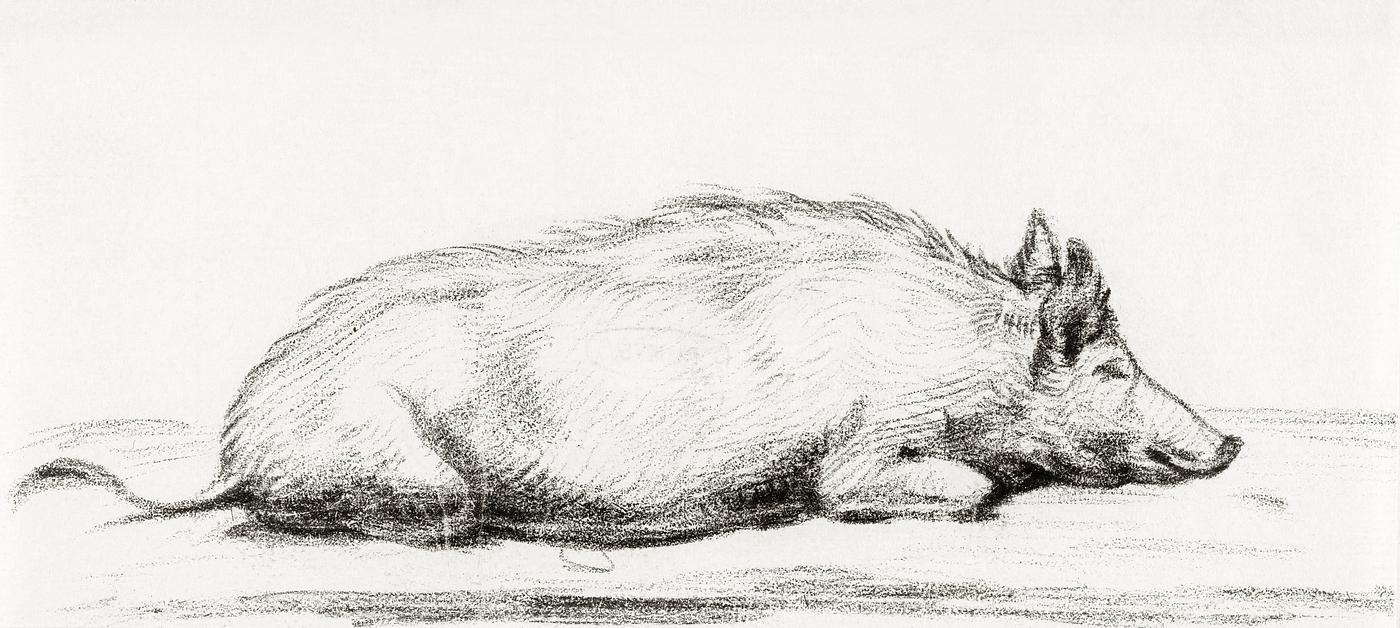 Lying pig by Jean Bernard (1775-1883). Original from The Rijksmuseum. Digitally enhanced by rawpixel. Lying pig by Jean Bernard (1775-1883). Original from The Rijksmuseum. Digitally enhanced by rawpixel.