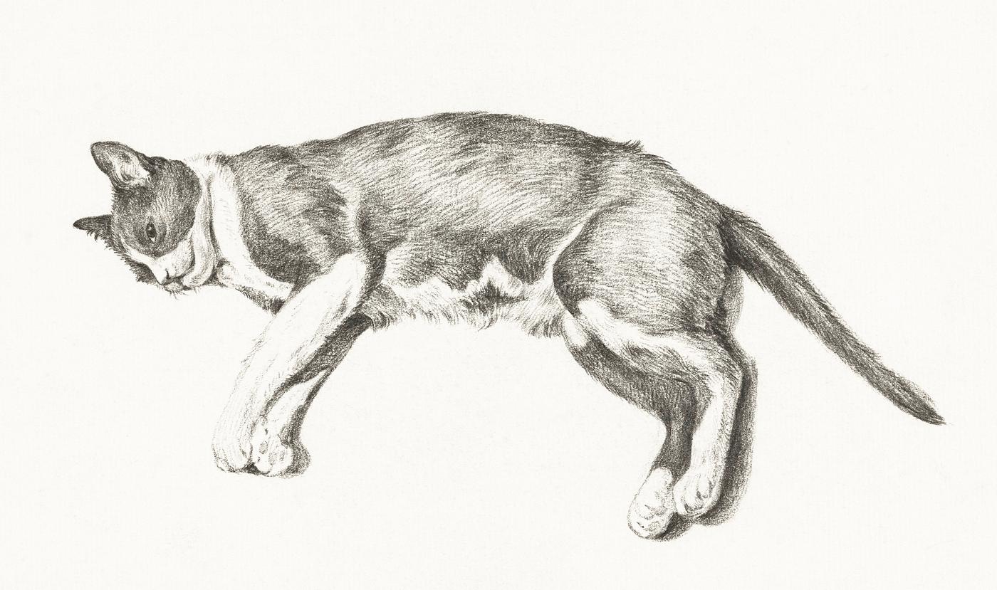 Sketch of a lying cat by Jean Bernard (1775-1883). Original from The Rijksmuseum. Digitally enhanced by rawpixel. Sketch of a lying cat by Jean Bernard (1775-1883). Original from The Rijksmuseum. Digitally enhanced by rawpixel.