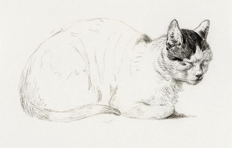 Sketch of a cat (1815) by Jean Bernard (1775-1883). Original from The Rijksmuseum. Digitally enhanced by rawpixel. Sketch of a cat (1815) by Jean Bernard (1775-1883). Original from The Rijksmuseum. Digitally enhanced by rawpixel.