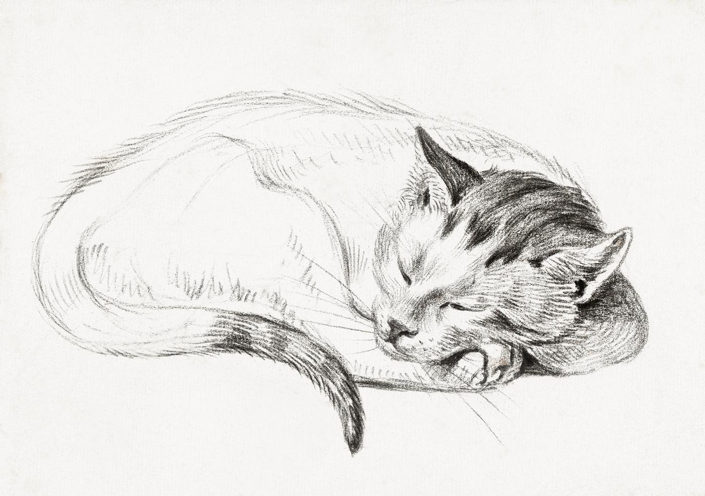 Sketch of a sleeping cat (1812) by Jean Bernard (1775-1883). Original from The Rijksmuseum. Digitally enhanced by rawpixel. Sketch of a sleeping cat (1812) by Jean Bernard (1775-1883). Original from The Rijksmuseum. Digitally enhanced by rawpixel.