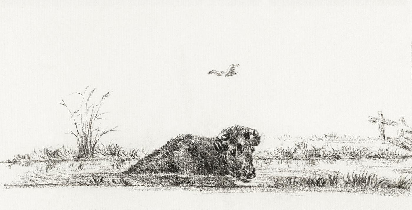 Cow in the water by Jean Bernard (1775-1883). Original from The Rijksmuseum. Digitally enhanced by rawpixel. Cow in the water by Jean Bernard (1775-1883). Original from The Rijksmuseum. Digitally enhanced by rawpixel.