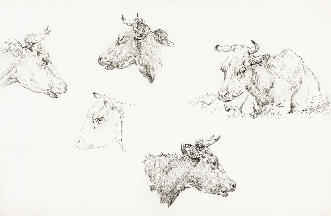Four study sketches of cows (1821) by Jean Bernard (1775-1883). Original from The Rijksmuseum. Digitally enhanced by... Four study sketches of cows (1821) by Jean Bernard (1775-1883). Original from The Rijksmuseum. Digitally enhanced by...