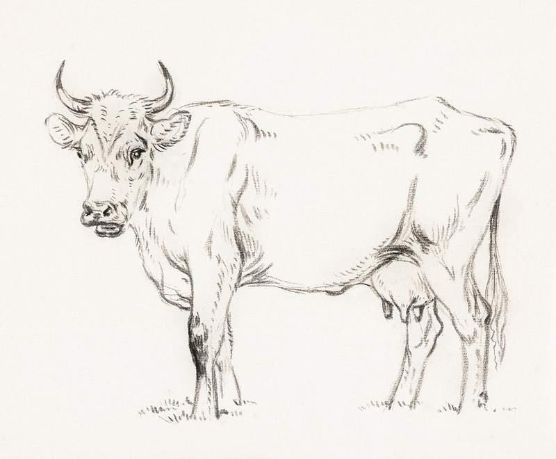 Standing cow (1828) by Jean Bernard (1775-1883). Original from The Rijksmuseum. Digitally enhanced by rawpixel.