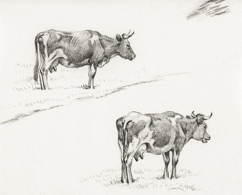Two sketches of a standing cow (1821) by Jean Bernard (1775-1883). Original from The Rijksmuseum. Digitally enhanced by rawpixel. Two sketches of a standing cow (1821) by Jean Bernard (1775-1883). Original from The Rijksmuseum. Digitally enhanced by…