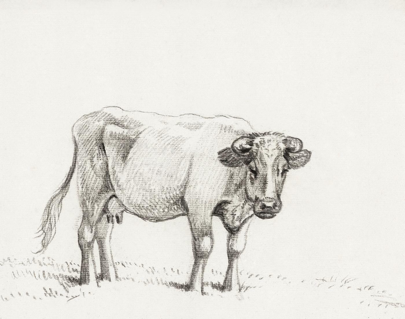 Standing cow (1816) by Jean Bernard (1775-1883). Original from The Rijksmuseum. Digitally enhanced by rawpixel. Standing cow (1816) by Jean Bernard (1775-1883). Original from The Rijksmuseum. Digitally enhanced by rawpixel.