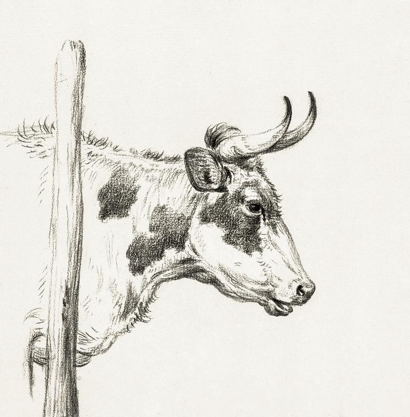 Head of a cow, to the right (1820) by Jean Bernard (1775-1883). Original from The Rijksmuseum. Digitally enhanced by rawpixel. Head of a cow, to the right (1820) by Jean Bernard (1775-1883). Original from The Rijksmuseum. Digitally enhanced by…