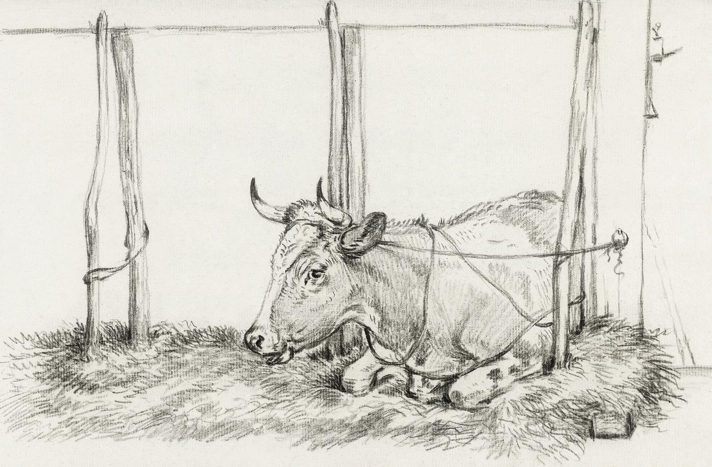 Lying cow by Jean Bernard (1775-1883). Original from The Rijksmuseum. Digitally enhanced by rawpixel. Lying cow by Jean Bernard (1775-1883). Original from The Rijksmuseum. Digitally enhanced by rawpixel.
