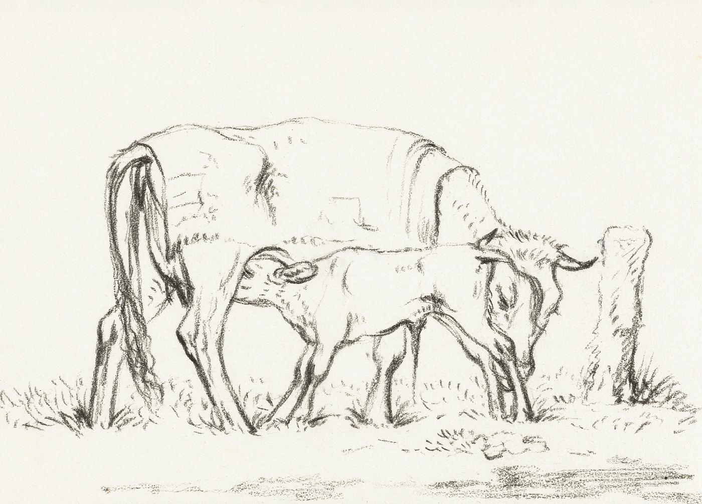 Calf drinking with his mother by Jean Bernard (1775-1883). Original from The Rijksmuseum. Digitally enhanced by rawpixel. Calf drinking with his mother by Jean Bernard (1775-1883). Original from The Rijksmuseum. Digitally enhanced by rawpixel.