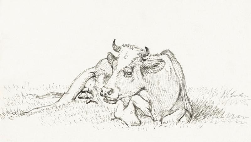 Lying cow (1815) by Jean Bernard (1775-1883). Original from The Rijksmuseum. Digitally enhanced by rawpixel. Lying cow (1815) by Jean Bernard (1775-1883). Original from The Rijksmuseum. Digitally enhanced by rawpixel.