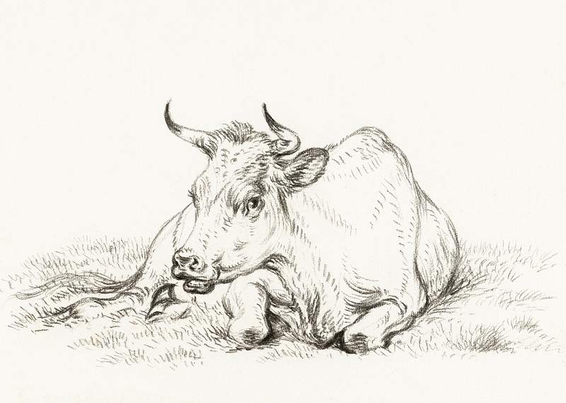 Lying cow (1826) by Jean Bernard (1775-1883).… | Free public domain illustration Lying cow (1826) by Jean Bernard (1775-1883). Original from The Rijksmuseum. Digitally enhanced by rawpixel.