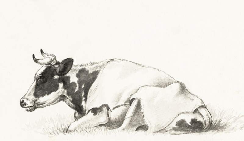 Lying cow by Jean Bernard (1775-1883).… | Free public domain illustration Lying cow by Jean Bernard (1775-1883). Original from The Rijksmuseum. Digitally enhanced by rawpixel.