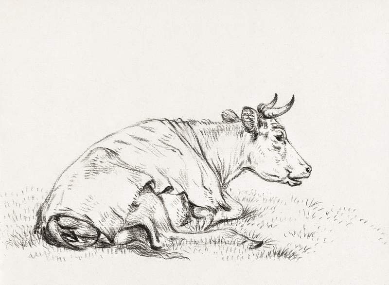 Lying cow, to the right (1819) by Jean… | Free public domain illustration Lying cow, to the right (1819) by Jean Bernard (1775-1883). Original from The Rijksmuseum. Digitally enhanced by rawpixel.