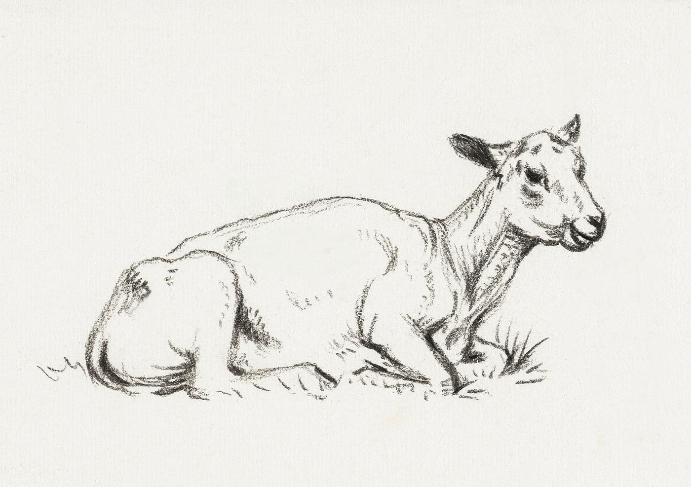 Lying shaved sheep by Jean Bernard (1775-1883). Original from The Rijksmuseum. Digitally enhanced by rawpixel. Lying shaved sheep by Jean Bernard (1775-1883). Original from The Rijksmuseum. Digitally enhanced by rawpixel.