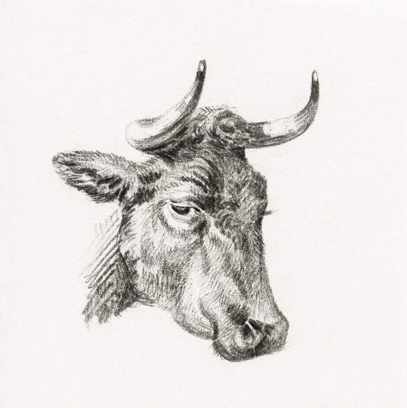 Head of a cow by Jean Bernard (1775-1883). Original from The Rijksmuseum. Digitally enhanced by rawpixel.