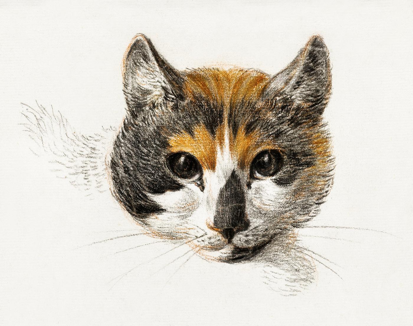 Head of a calico cat with open eyes (1819) by Jean Bernard (1775-1883). Original from The Rijksmuseum. Digitally enhanced by... Head of a calico cat with open eyes (1819) by Jean Bernard (1775-1883). Original from The Rijksmuseum. Digitally enhanced by...