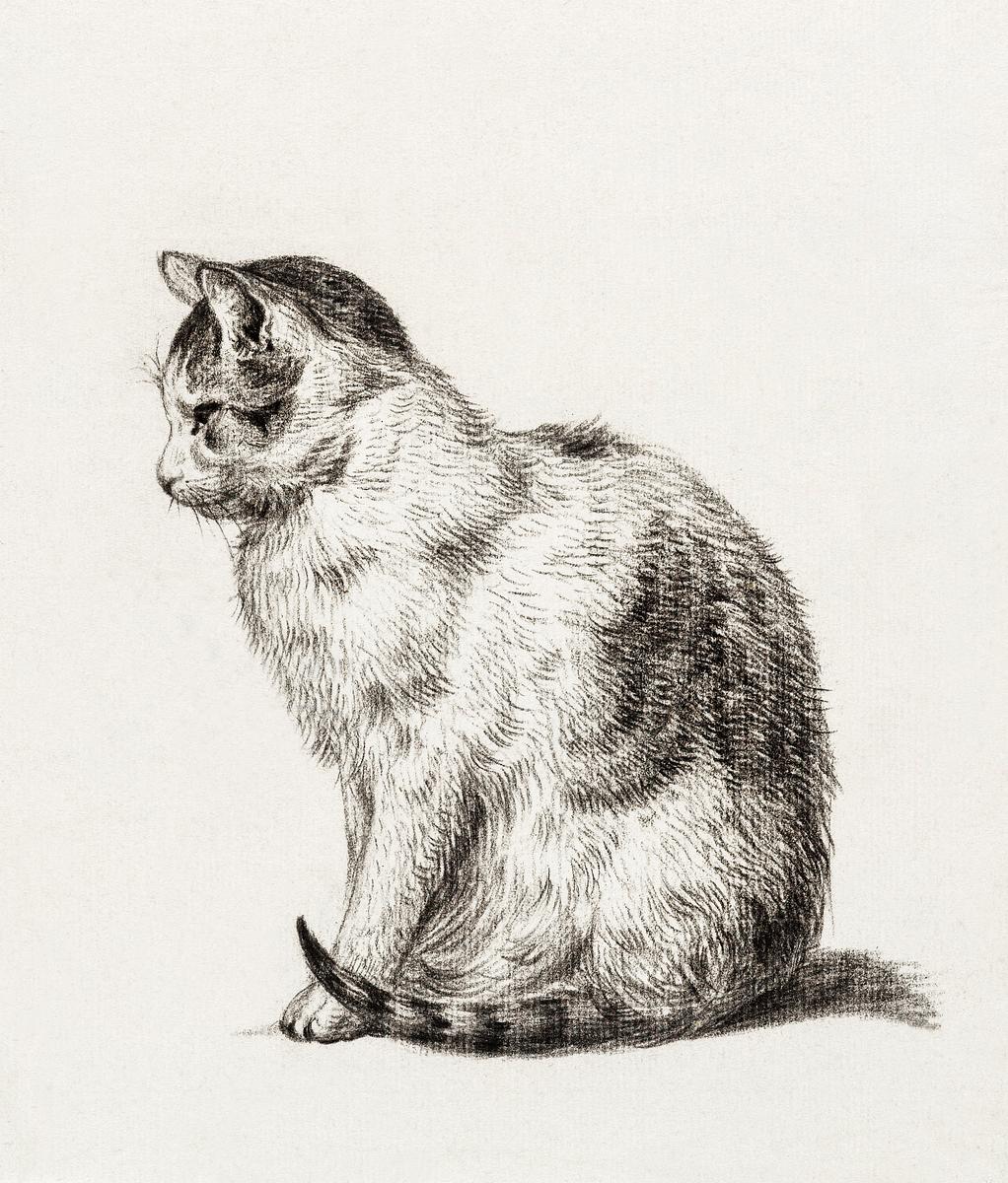 Vintage Cat Royalty Free Stock Illustrations Rawpixel Vintage Cat Royalty Free Stock Illustrations Rawpixel
