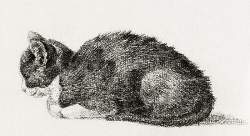 Lying cat (1800) by Jean Bernard (1775-1883). Original from The Rijksmuseum. Digitally enhanced by rawpixel. Lying cat (1800) by Jean Bernard (1775-1883). Original from The Rijksmuseum. Digitally enhanced by rawpixel.