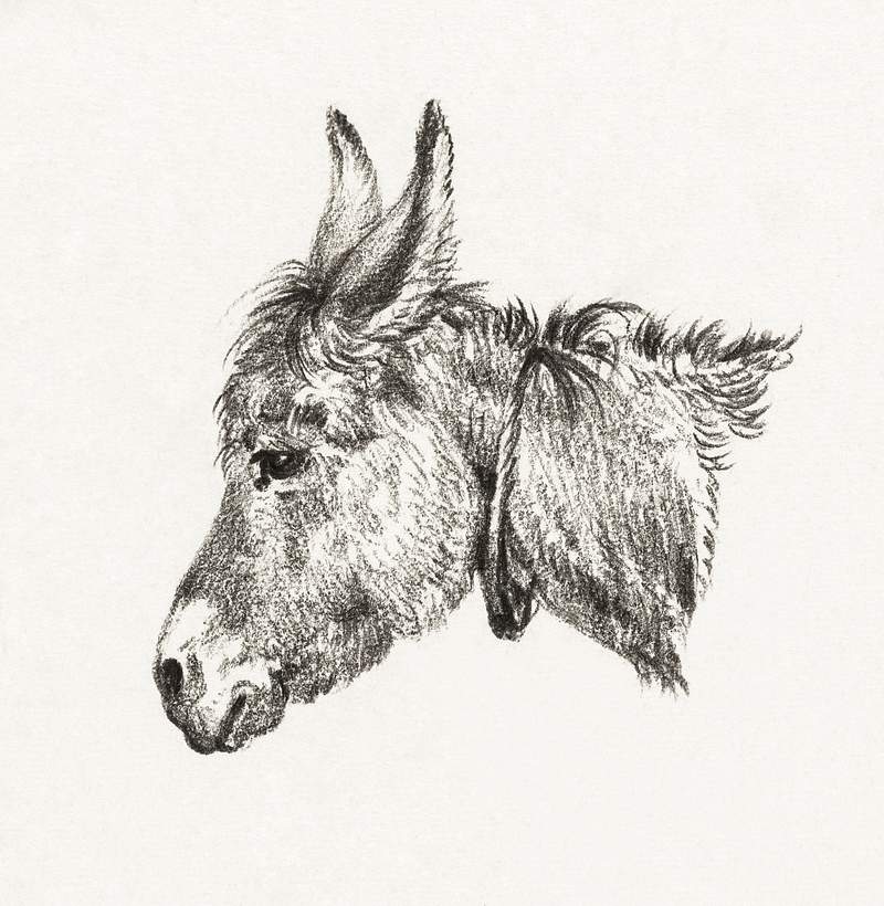 Head of a donkey (1818) by Jean Bernard (1775-1883). Original from The Rijksmuseum. Digitally enhanced by rawpixel.