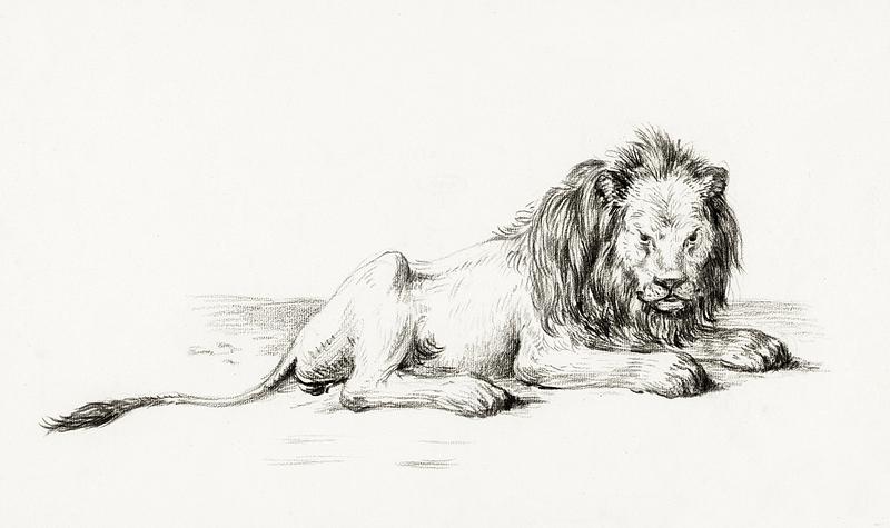 Lying lion (1822) by Jean Bernard (1775-1883). Original from The Rijksmuseum. Digitally enhanced by rawpixel. Lying lion (1822) by Jean Bernard (1775-1883). Original from The Rijksmuseum. Digitally enhanced by rawpixel.