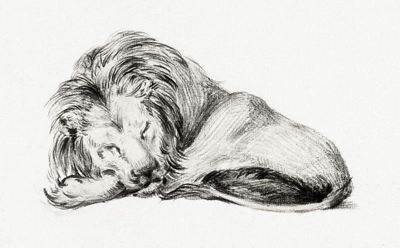 Lying lion by Jean Bernard (1775-1883). Original from The Rijksmuseum. Digitally enhanced by rawpixel. Lying lion by Jean Bernard (1775-1883). Original from The Rijksmuseum. Digitally enhanced by rawpixel.