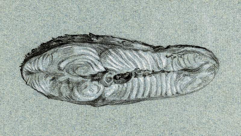 Moot cooked salmon (1807) by Jean Bernard (1775-1883). Original from The Rijksmuseum. Digitally enhanced by rawpixel.