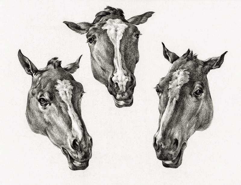Three horse heads (1812) by Jean Bernard (1775-1883). Original from The Rijksmuseum. Digitally enhanced by rawpixel.