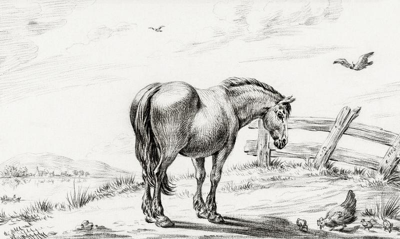 Standing horse at chicken with chicks (1803) by Jean Bernard (1775-1883). Original from The Rijksmuseum. Digitally enhanced by rawpixel. Standing horse at chicken with chicks (1803) by Jean Bernard (1775-1883). Original from The Rijksmuseum. Digitally enhanced…