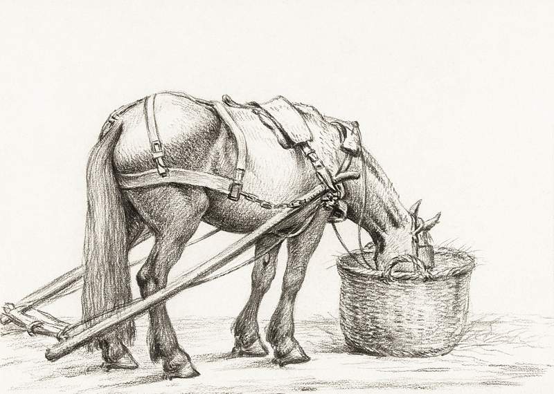 Horse eating from a basket (1816) by Jean… | Free public domain illustration Horse eating from a basket (1816) by Jean Bernard (1775-1883). Original from The Rijksmuseum. Digitally enhanced by rawpixel.