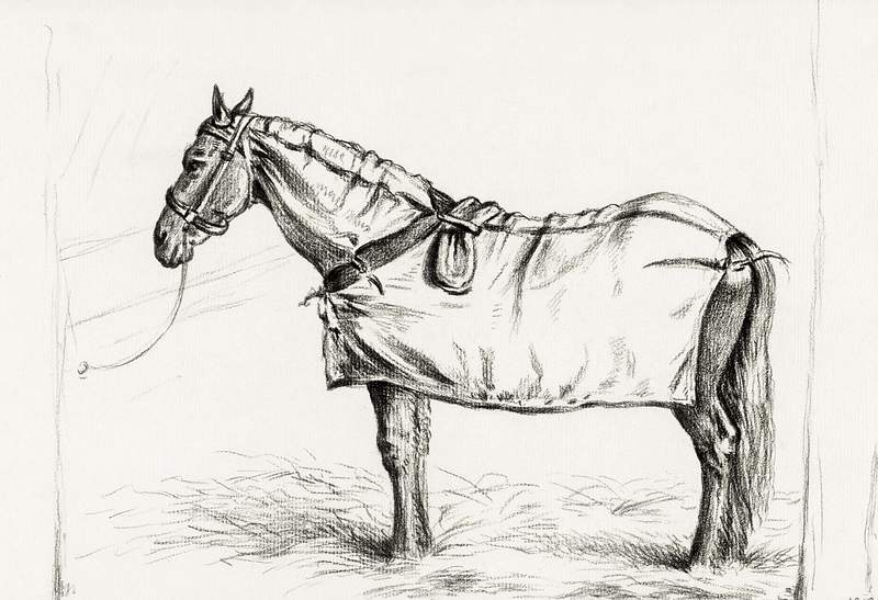 Horse standing in stable with blanket (1818)… | Free public domain illustration Horse standing in stable with blanket (1818) by Jean Bernard (1775-1883). Original from the Rijks Museum. Digitally enhanced…